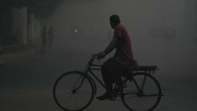 Lahore went up in smoke/schools were closed for a week and employees were working remotely