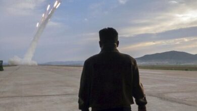 South Korea and Japan claimed that North Korea fired several ballistic missiles