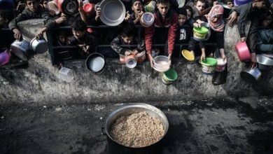 Targeted killing of Gazans by systematic use of “starvation” lever