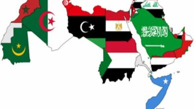 Western exploitation of differences between Arab countries