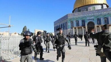 About 54,000 Zionists attacked Al-Aqsa Mosque in 2024