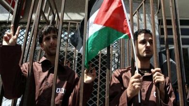 Captivity of 8 thousand Palestinians in 2024