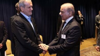 “Shahbaz Sharif” meets with “Massoud Bischiyan”.