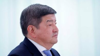 The Prime Minister of Kyrgyzstan was dismissed