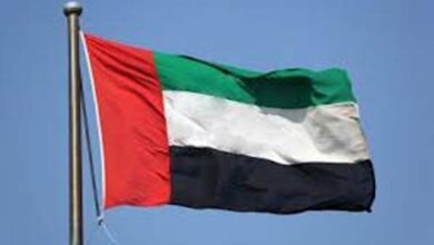 The reaction of the UAE to the political and military developments in Syria