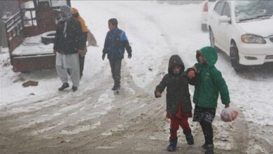 World Food Program: Millions of Afghans are facing severe hunger in winter