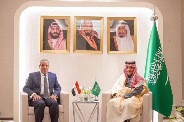 Consultation of foreign ministers of Egypt and Saudi Arabia in Riyadh