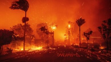 Hell of Los Angeles; Who is responsible for the billions of deaths and damages caused by the uncontrollable fire?