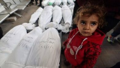 Martyrdom of more than 14,500 Palestinian children in the Gaza war