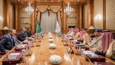 Saudi Defense Minister: The time has come to establish stability in Syria