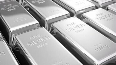 Silver price stability on the eve of Trump’s inauguration; Caution prevails in the market