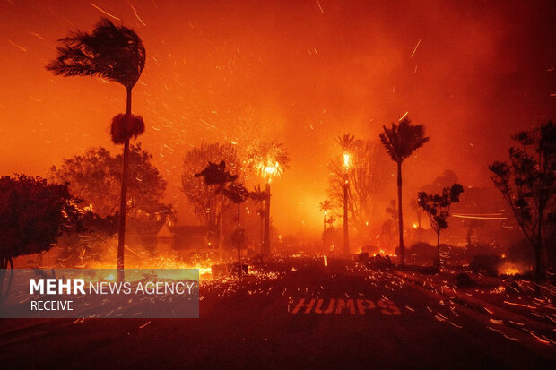 The burned land in America is equivalent to 22 thousand football fields