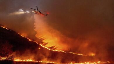 The inability of American firefighters to contain the “California hell”; The mayor was declared the main culprit