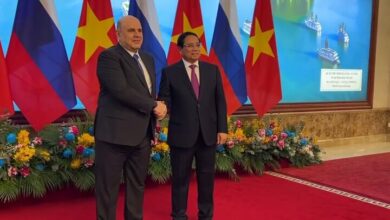 The meeting between the prime ministers of Russia and Vietnam + video