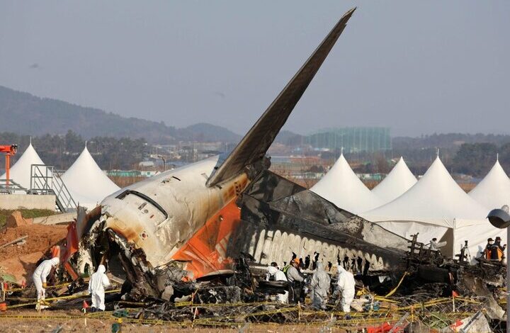 The mystery of the South Korean plane crash was not solved