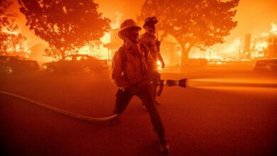 The number of fire victims in 1000 destroyed buildings in Los Angeles; The disaster is spreading