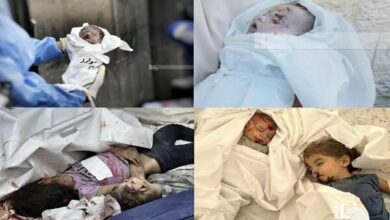 The number of Gaza martyrs increased to 45 thousand 854 people