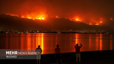 The terrible fires in California also consumed the homes of Hollywood stars