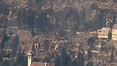 Thousands of homes in Los Angeles have been destroyed by fire + video