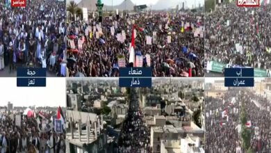 Yemeni marchers: We will not put down the flag + video