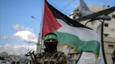 Zionist author: “Israel” will not win over Gaza even if it occupies the entire Middle East