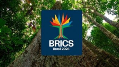 Brix’s priorities were announced during the Brazilian presidency