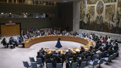 China will raise the issue of Gaza in the Security Council