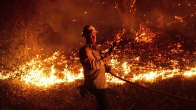 Complete California Deadly Fire Inhibition After 7 Days