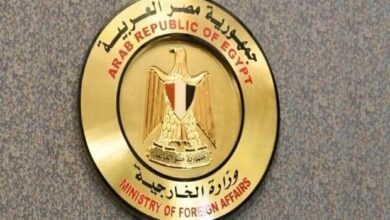 Egyptian Foreign Ministry’s new statement about Palestine