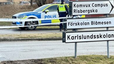 Suspected to carry out a terrorist attack in Sweden