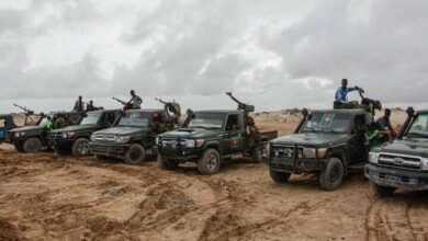 Al -Shabaab terrorists were killed in Somalia