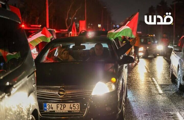 Turkish people came to the streets in defense of Gaza+ pictures