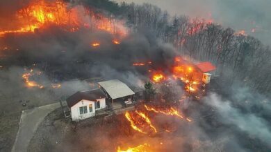 Widespread fire in the southeastern forests of South Korea with 4 victims