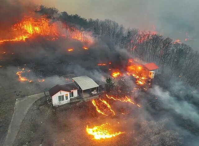 Widespread fire in the southeastern forests of South Korea with 4 victims