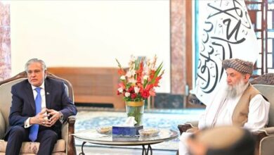 Pakistani -Afghan Foreign Ministers Agreement to continue security talks