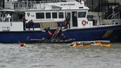 Six killed in a river falling to the river in New York + Movie