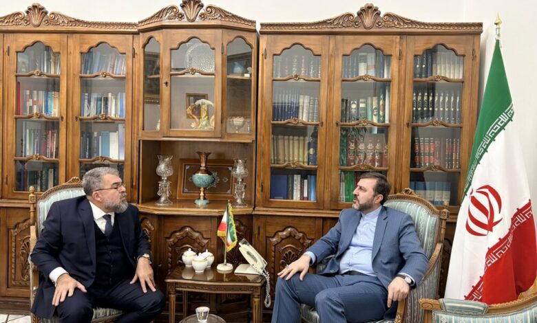 Iran and Brazil Explore Expanded Cooperation Opportunities /Iran , Brazil , international relations , diplomacy , economic cooperation