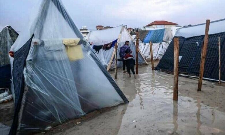 Palestinian Official Warns of Dire Conditions for Gaza Displaced Amid Fuel Shortages and Flooding /Gaza , Palestinian displacement , humanitarian crisis , Israeli actions , fuel shortages