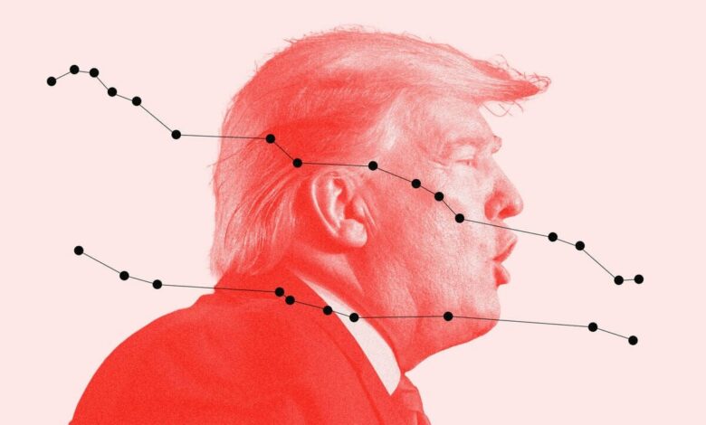 Trump's Approval Rating Drops to Negative 17% Amid Economic Discontent Among Americans /Donald Trump , approval rating , U.S. economy , inflation , midterm elections