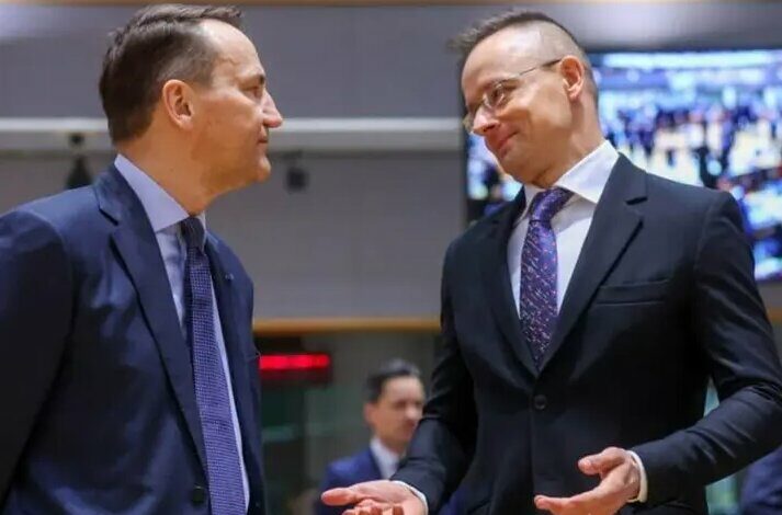 Hungary and Poland Clash Over Seizure of Russian Assets /Hungary , Poland , Russia , Assets , Sanctions