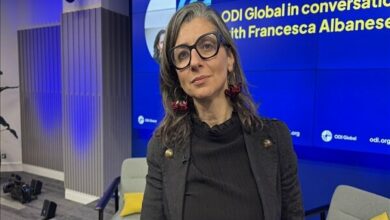 UN Special Rapporteur Calls for Suspension of Israel's UN Membership Over Gaza Genocide /UN , Israel , Gaza , human rights , sanctions