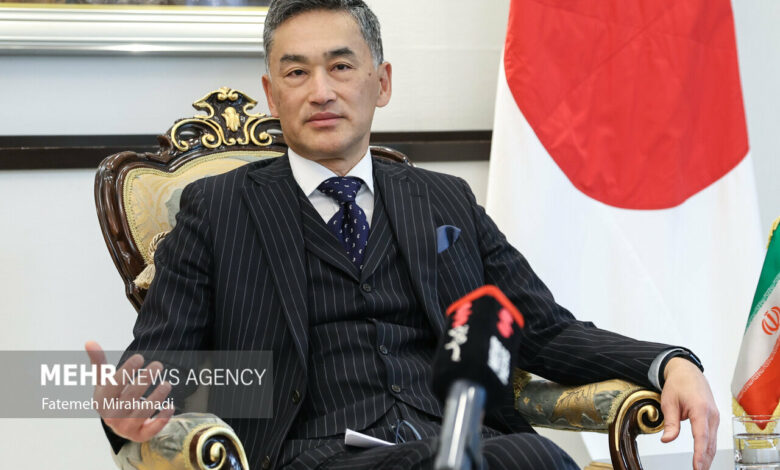 Japan's Ambassador to Iran Highlights Deep Cultural Ties, Future Cooperation /Iran , Japan , Cultural Exchange , Diplomacy , Tamaki Tsukada