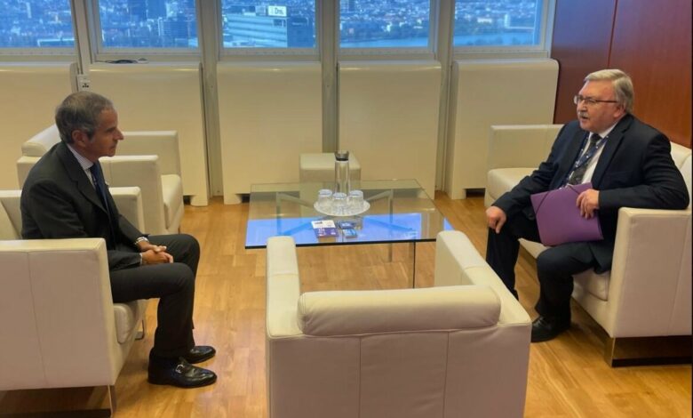 Russian Envoy Ulyanov Consults IAEA Chief Grossi on Iran Nuclear Issue /Mikhail Ulyanov , Rafael Grossi , IAEA , Iran nuclear program , Russia