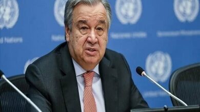 UN Chief Urges Immediate Gaza Ceasefire and Political Solution for Palestine /Gaza , UN , ceasefire , Palestine , Israel