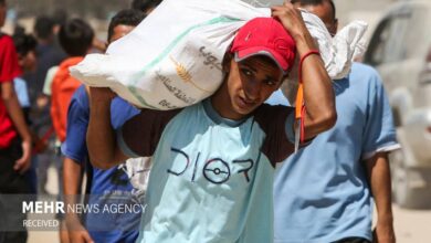 Gaza Aid Delivery Stalls: Only 16% of Agreed Humanitarian Assistance Reaches Strip /Gaza , humanitarian aid , Israel , ceasefire , blockade