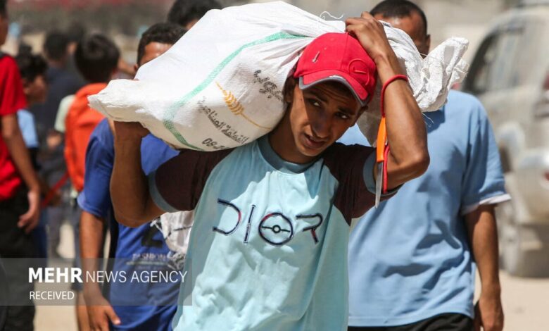 Gaza Aid Delivery Stalls: Only 16% of Agreed Humanitarian Assistance Reaches Strip /Gaza , humanitarian aid , Israel , ceasefire , blockade