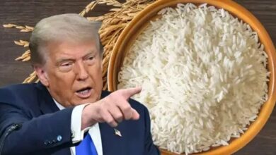 Trump Announces New Tariffs on Indian Rice Amid Farmer Concerns /Trump , tariffs , India , rice , farmers