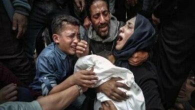 Israeli Strike on Gaza School Sheltering Displaced People Kills 5, Injures 5 /Gaza , Israeli strike , civilian casualties , international law , Al-Tuffah