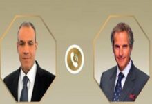 Egypt's Foreign Minister Discusses Iran Nuclear Program and Regional Developments with IAEA Chief /Egypt , IAEA , Iran Nuclear Program , Regional Security , Diplomatic Efforts
