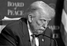 US Lawmakers Surprised by Trump's Unfunded 5,000 Dollar Pledge /Donald Trump , Republican Party , US Congress , Midterm Elections , Economic Policy